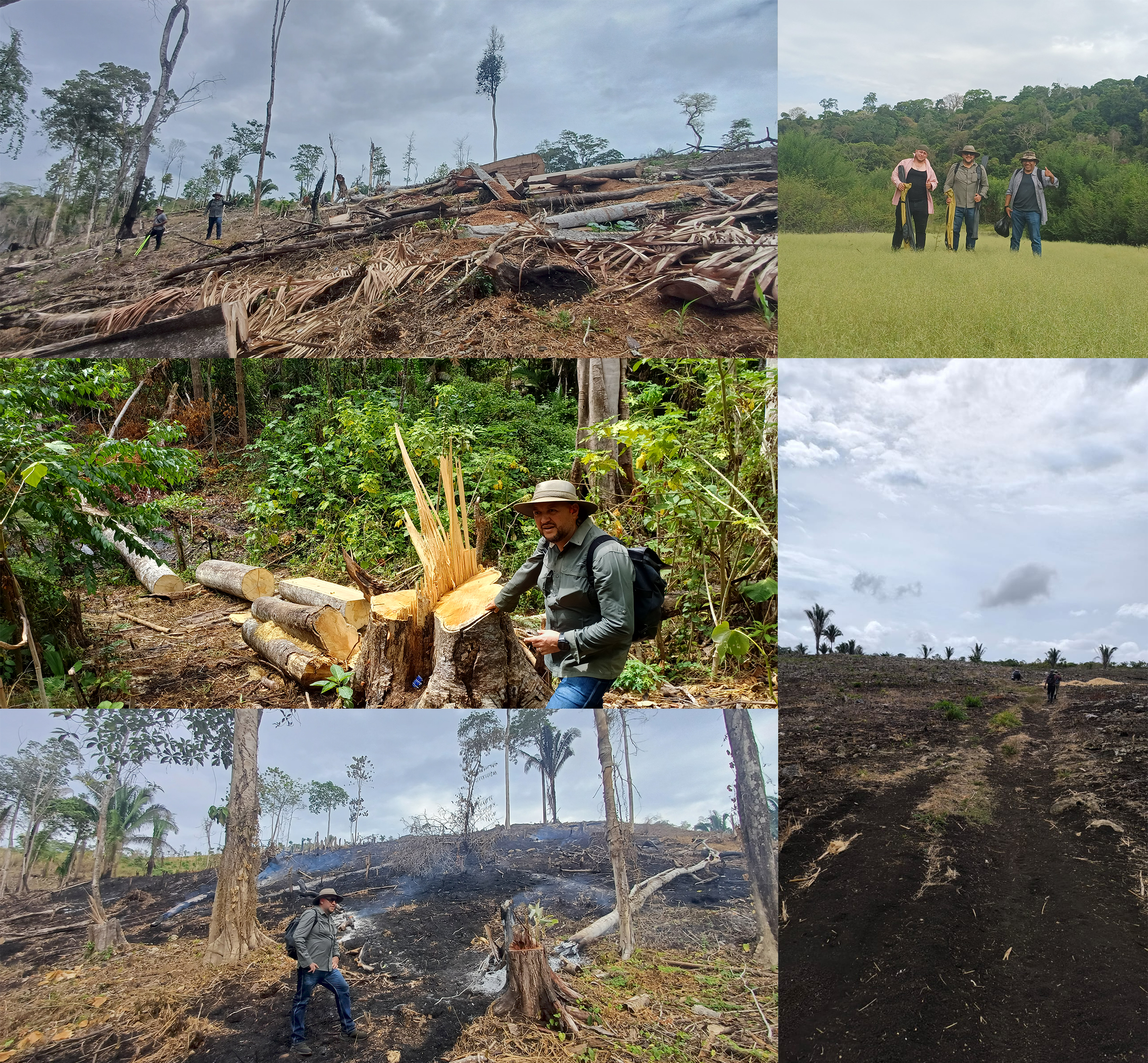 Fotos of recent deforestation in Aguateca.